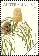 [Flora - Banksias, type EMO]