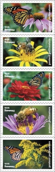 [Protect Pollinators, type ]