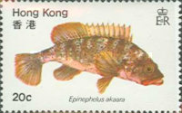 [Fish, type GN]