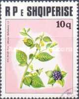 [Medicinal Plants, type XPT]