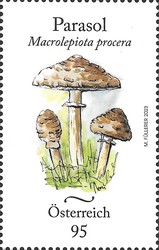 [Fungi - Parasol, type EAS]