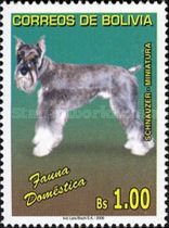 [Pets, Dogs, type BGS]