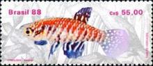 [Freshwater Fish, type CHK]
