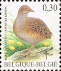 [Birds, type DCG]