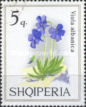 [Violets, type AGK]