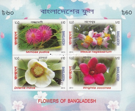 [Flora - Flowers, type ]