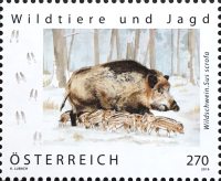 [Fauna - Wild Boar, type DQA]