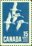 [Canada Geese, type JI]