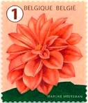 [Definitives - Flowers, type XSN5]