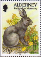 [Flora and Fauna, type BX1]