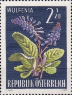 [Alpine Flora, type ACI]