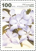 [Flowers - Orchids, type AWH]