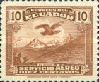 [Andean Condor over El Altar, type LF]
