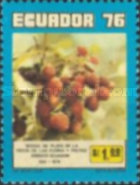 [Flowers and Fruits Festival, Ambato, type BKD]