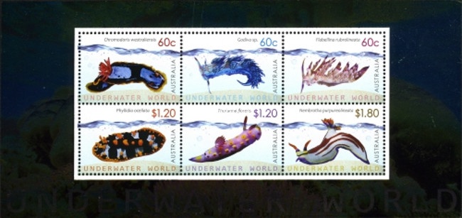 [Marine Life - Sea Slugs, type ]