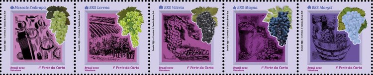 [Viticulture in Brazil, type ]