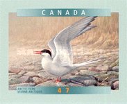 [Birds - Self-Adhesive, type BTD1]