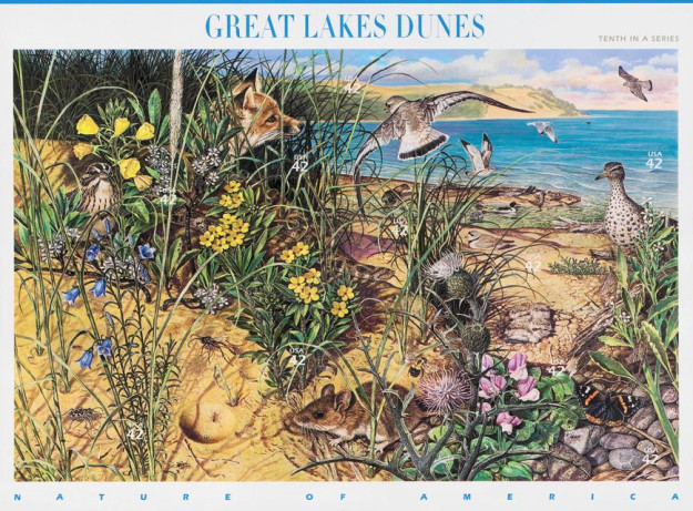 [Nature of America - Great Lakes Dunes - Self-Adhesive, type ]