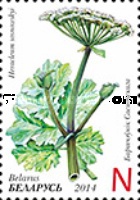 [Flora - Invasive Plants of Belarus, type AJR]