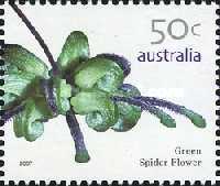 [Australian Wildflowers, type CVE]