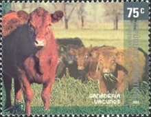 [Products and National Technology, type CTY]
