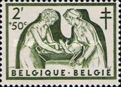 [The struggle against Tuberculosis, type TY]