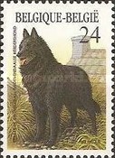 [Belgium Dog Breeds, type BIE]