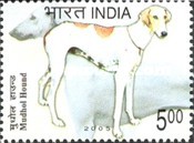 [Dog Breeds, type CHA]