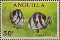 [Saltwater Fish, type BB]