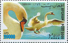 [Fauna - Birds, type AVB]