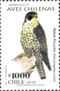 [Discount Stamps - Birds, type BQV]