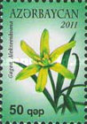 [Garabagh Flowers, type ACM]