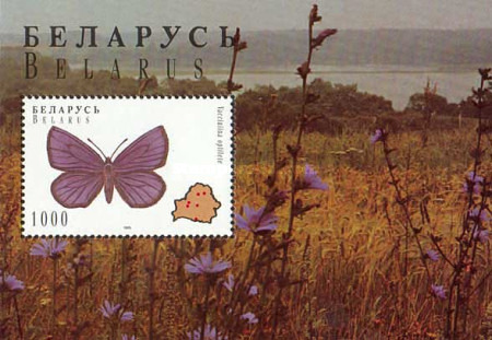 [Butterflies, type ]