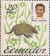 [Death of Missionaries in Ecuador's Eastern Forests, type AOX]