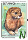 [Wild Animals, type AKK]