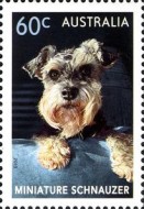[Top Dogs, type DUP]
