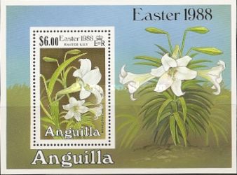 [Easter - Lilies, type ]