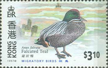 [Migratory Birds, type XP]