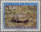 [Endangered Animals, type ADW]