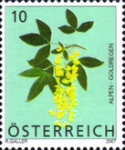 [Flowers, type CMP]