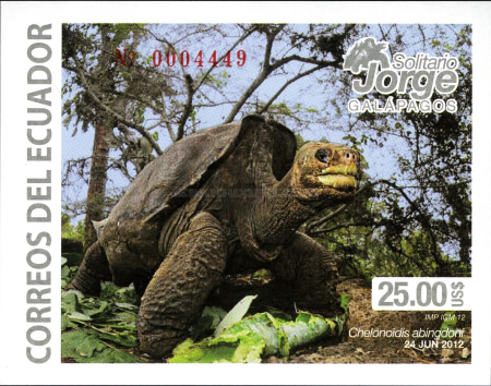 [Turtles - Lonesome George, 1910-2013, type EAX]