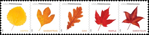 [Vibrant Leaves, type ]