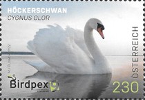 [Birdpex 9 - Cygnus olor, type DYG]