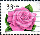 [Rose - Self-adhesive, type DGC3]