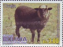[Domestic Animals, type BQE]