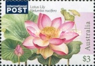 [Flora - Water Plants, type ELD]