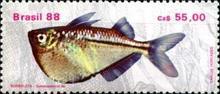 [Freshwater Fish, type CHH]
