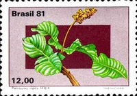 [Flowers of the Central Plateau, type BQT]