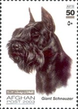 [Dogs, type AWV]