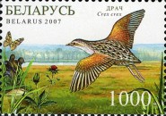 [Nature of the Sanctuaries of Chepkeliai and Kotra - Birds, type WU]